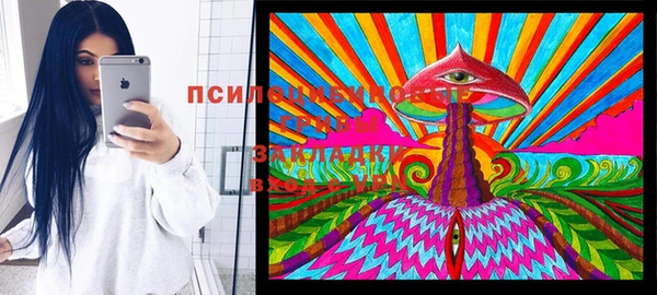 дурь Вязники