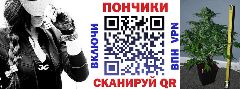 Бошки марихуана THC 21%  Миасс 